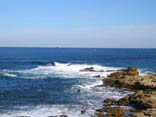 Sea Picture